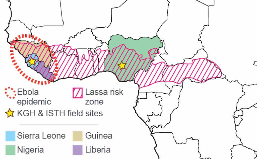 Increasing Lassa Fever cases in West Africa causing concern