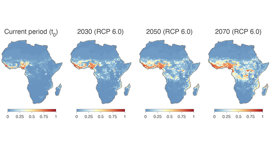 Risk posed by Lassa virus in Africa may dramatically increase over the next 50 years